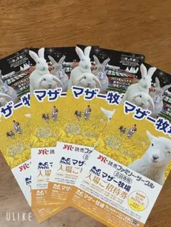 マザー牧場 招待券 4 枚セット