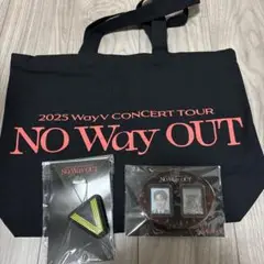 威神 Wayv アプグレ特典 プレミアムシート 特典