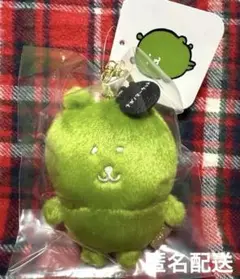 匿名配送 ナガノマーケット カラーなナガノのくま マスコット 抹茶