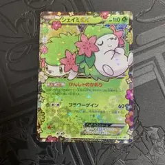 Amazon.co.jp: 希少品 10 シェイミEX プロモ プレミアムポケキュンセット 絶版センター限定box カード ポケカ : おもちゃ