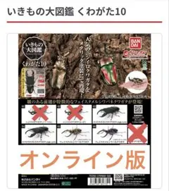 Item thumbnail for item bef8ac4a-8ae4-4fcc-92e8-107e8d7442bc