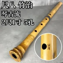 Item thumbnail for item 07fc77ae-60ca-45a9-a00f-bc9ac574f701