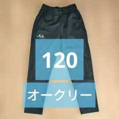 Item thumbnail for item 36e91a9a-79b8-488f-be7b-a36c43f263b1