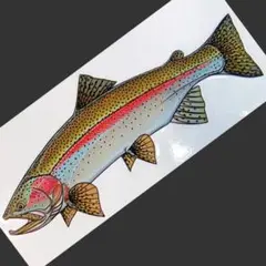 Item thumbnail for item 6665d5a6-d670-4ab8-a6c0-4e680941dcd2