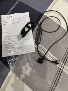 Item thumbnail for item 790ba471-5b75-4797-b0ef-f36359e4e85d