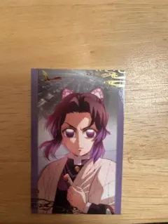 鬼滅の刃 ランダムフォト 胡蝶しのぶ セット