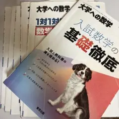 入試数学の基礎徹底のみ　SMQさん専用