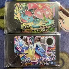 ⭐︎本日発送⭐︎ ポケモンフレンダ　ベストタッグ　フシギバナ　カメックス　セット