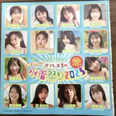 週刊プレイボーイ 2025上半期 グラビア傑作選 付録DVD