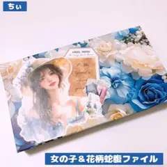おすそ分け蛇腹ファイル 花柄 女の子 コラージュ素材 海外マステ 収納