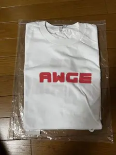 新品未使用
