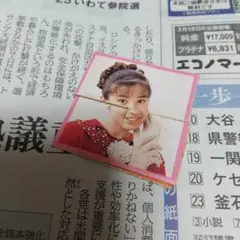 宮沢りえさん。パタパタパズル