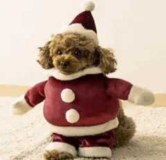 Item thumbnail for item a2765867-f101-4ebd-8c44-138bb070a7ae