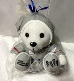 きよちゃん専用  CNBLUE グッズ ぬいぐるみ クマ テディベア きよちゃん専用 CNBLUE グッズ ぬいぐるみ クマ テディベア