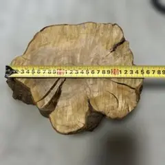 Item thumbnail for item c510b9d8-881a-4fb3-bb94-fddaaeb6da4b