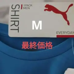 Item thumbnail for item 12a900f6-1b47-4adc-a1d8-64e1a4bf606b