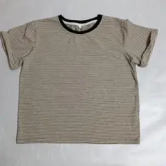 ストライプ柄半袖Tシャツ Lサイズ