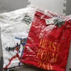 エヴァンゲリオン　Tシャツ　2枚セット　XXL