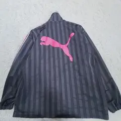 Item thumbnail for item 05c2e349-6f58-4a27-8fa4-02c305e317ce