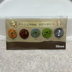 恐竜博物館　記念品　缶バッチ4個セット　新品　非売品