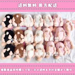 モグラッコ マスコット ２０点セット