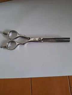 Item thumbnail for item 99c0cda3-2944-4c92-9962-f87454ca6652