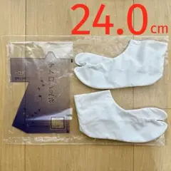 Item thumbnail for item 3d855f10-38d3-4067-96f0-eefab9c3cdff