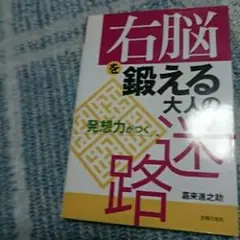 右脳を鍛える大人の迷路 : 発想力がつく/嘉来 進之助