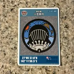 小笠原村 マンホールカード ザトウクジラ