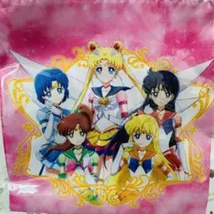セーラームーン 巾着セット セーラー戦士