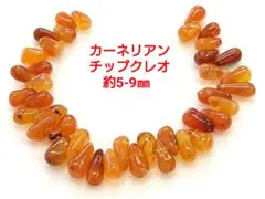 カーネリアン　チップクレオ　約5-9㎜(HA-1689)