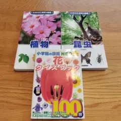 植物、昆虫、花クイズブック 3冊セット