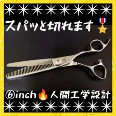 Item thumbnail for item 45b79929-0ab5-4a31-bf27-f80c9c426d16