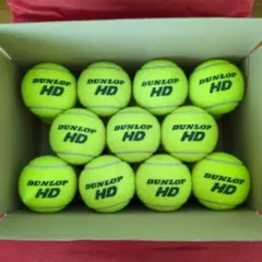 【テニスボール】ダンロップHD　20球セット　まとめ売り　DUNLOP