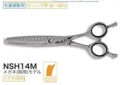 Item thumbnail for item 3313cf6b-15a1-4719-9d42-c10d1f1a14d2