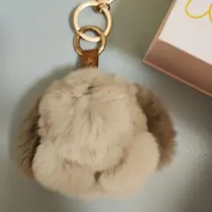 floats！フローツ⭐もふもふさん