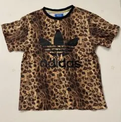 adidas レオパード柄 Tシャツ