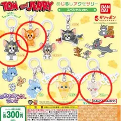 【未開封】TOM and JERRY めじるしアクセサリー スペシャルバージョン
