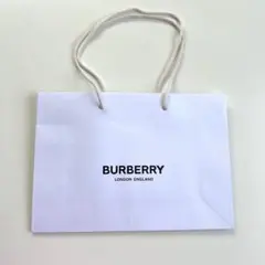 Item thumbnail for item 2004f2a8-1176-4019-a5df-8456cade71e1