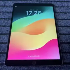 113【早い者勝ち】 iPad Pro 10.5 256GB スペースグレイ