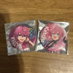 けちゃ AMPTAK×COLORS 缶バッジ 2個セット