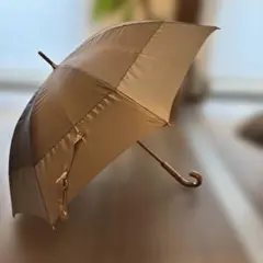 ユナイテッドアローズで購入　晴雨兼用傘