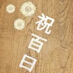 カ 木製レターバナー 月齢フォト 祝百日Happy誕生日100日祝い お食い初め