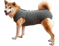 Item thumbnail for item 87ca0d5d-360f-4c14-b18b-6ef1d386de0a