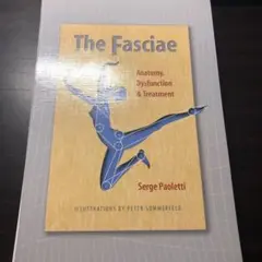 The Fascia
