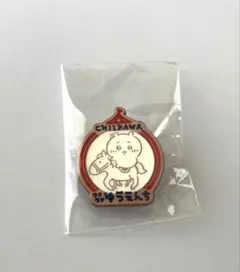 ちいかわゆうえんち　ピンズコレクション