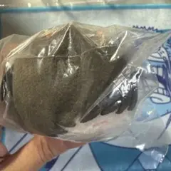 【刀剣乱舞】もちもちマスコット 桑名江