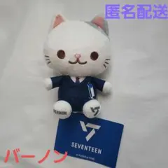 ディノ ANIMAL COORDY ミニぬいぐるみ　SEVENTEEN Seventeen Dino Sega Animal Coordy Mini Plush Stuffed Toy | eBay