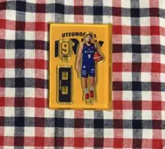 Item thumbnail for item 2c756709-f9d4-4934-91a8-ce014292d3c3