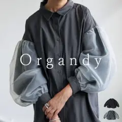 アンティカ Organdy シアー素材 ボリュームスリーブ シャツ
